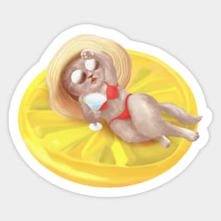 Cat Floating On Lemon Pool Float Sticker